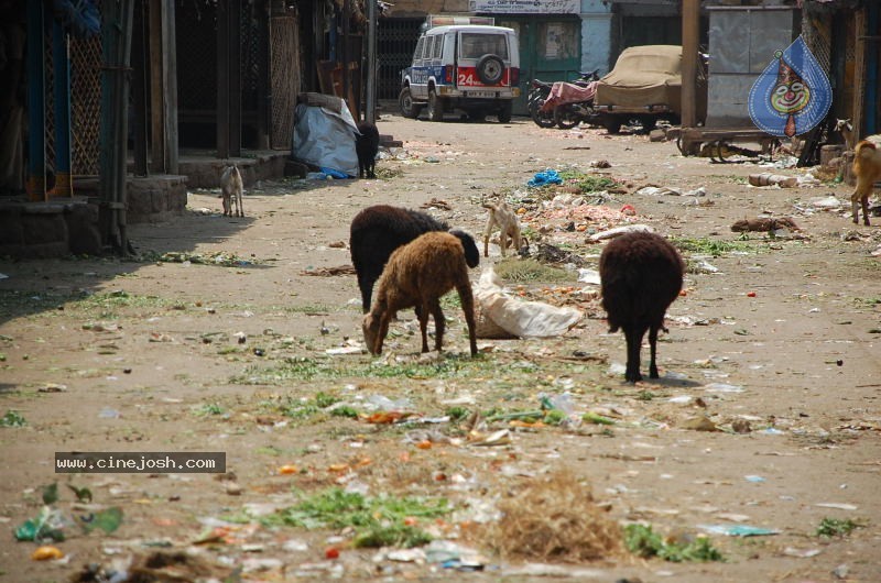Commissioner AK . Khan Plays Cricket in Old City  - 38 / 58 photos
