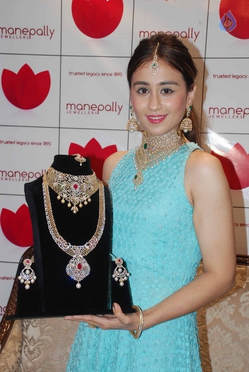 Diamond Mela Grand Launch at Manepally Jewellers  - 13 / 35 photos