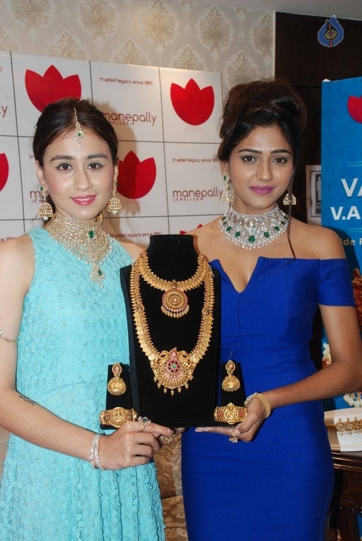 Diamond Mela Grand Launch at Manepally Jewellers  - 21 / 35 photos