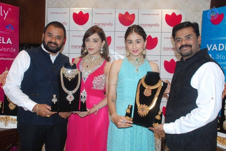 Diamond Mela Grand Launch at Manepally Jewellers  - 30 / 35 photos