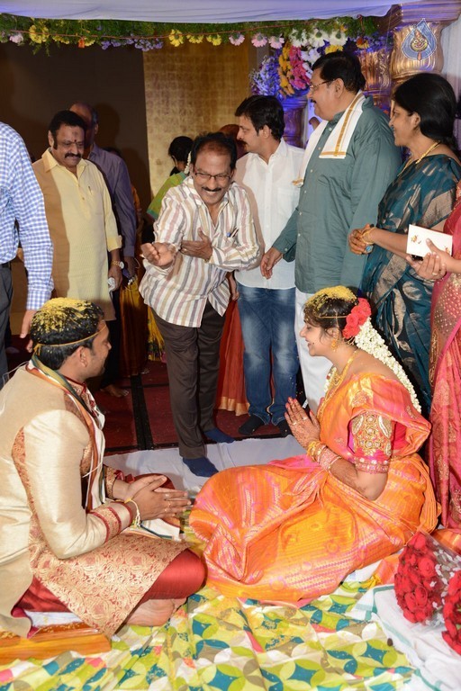 Director K Vasu Daughter Wedding Photos - 31 / 37 photos