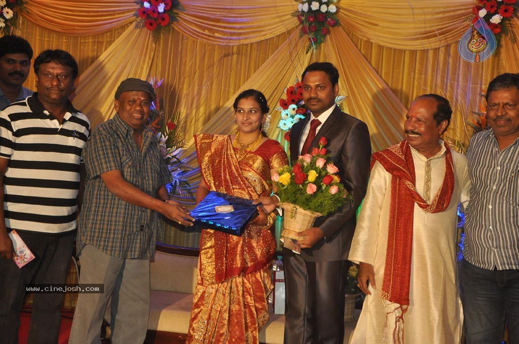 Director Senthinathan Son Wedding Reception - 27 / 63 photos