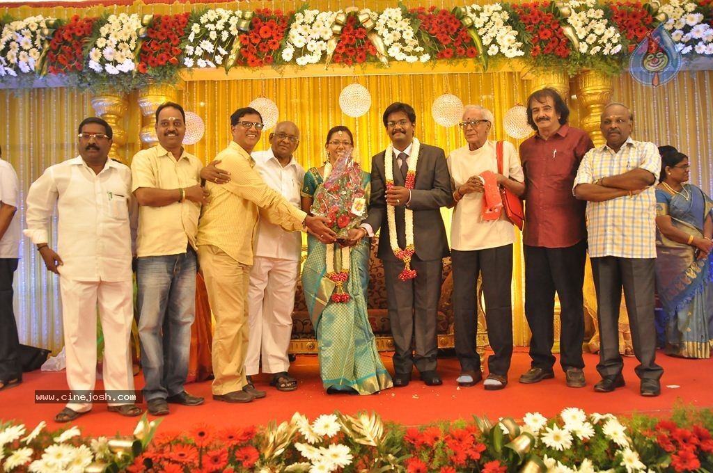 Director SP Muthuraman Family Wedding Reception - 21 / 69 photos