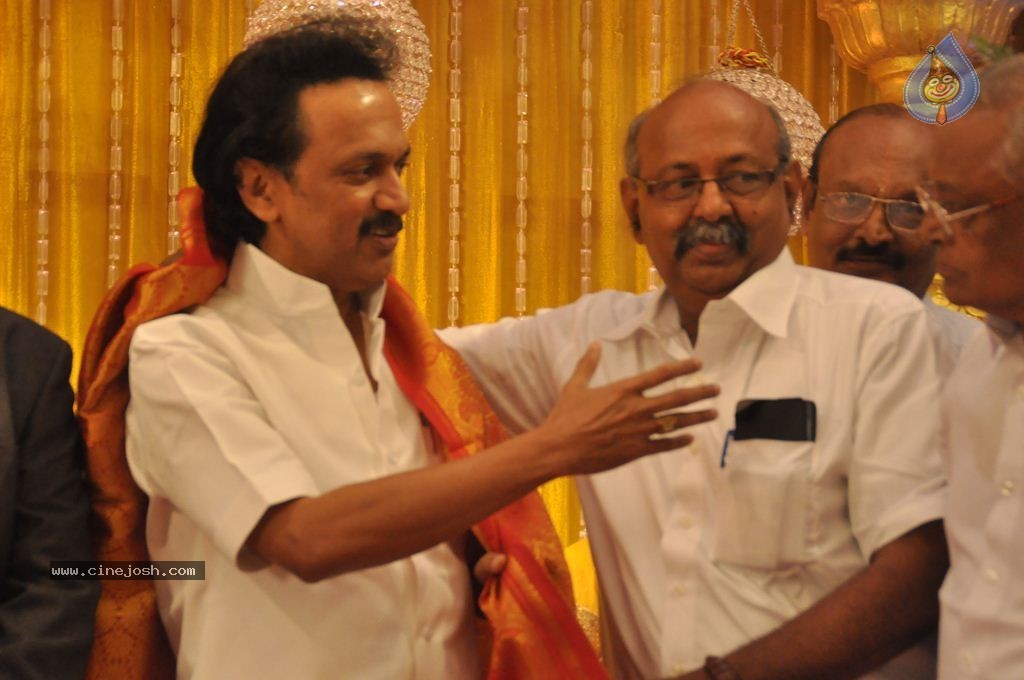 Director SP Muthuraman Family Wedding Reception - 31 / 69 photos