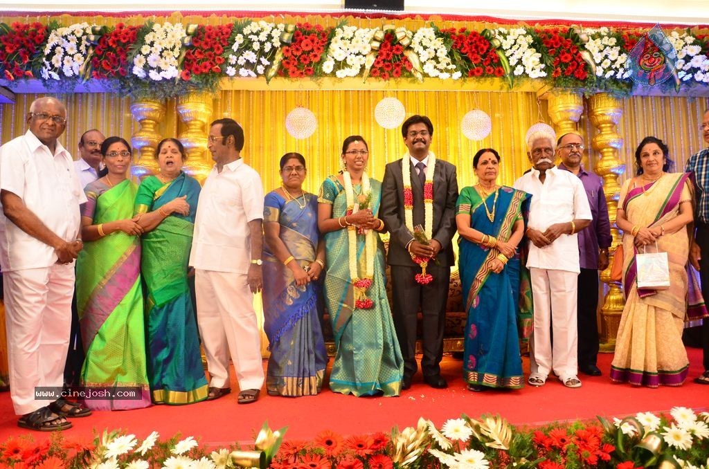 Director SP Muthuraman Family Wedding Reception - 34 / 69 photos
