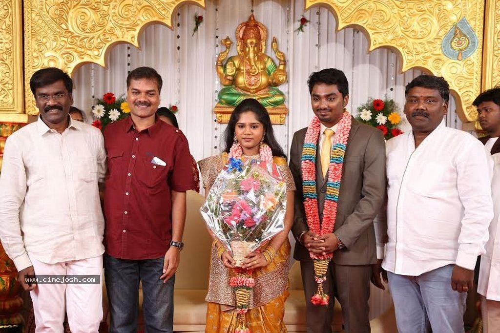 DOP Priyan Daughter Wedding Reception - 29 / 46 photos