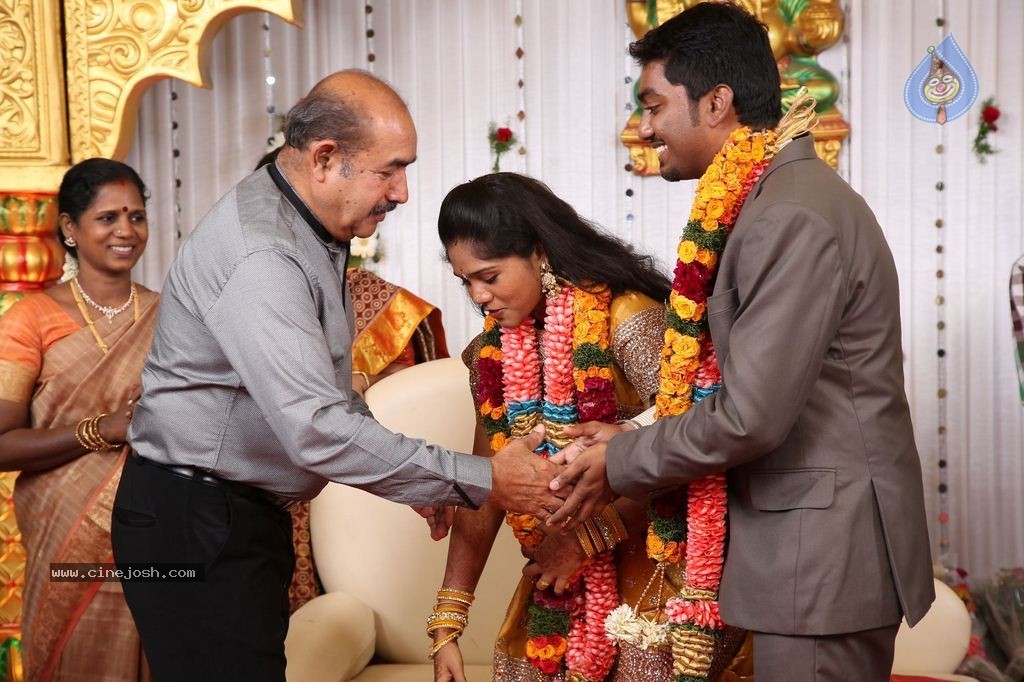 DOP Priyan Daughter Wedding Reception - 34 / 46 photos