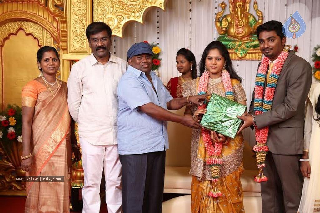 DOP Priyan Daughter Wedding Reception - 37 / 46 photos