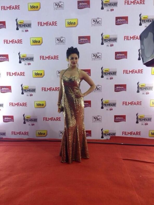 Filmfare Awards 2013 Photos - 80 / 94 photos