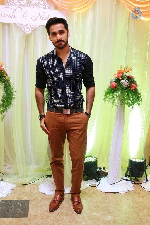 Ganesh Venkatraman - Nisha Wedding Reception - 71 / 79 photos