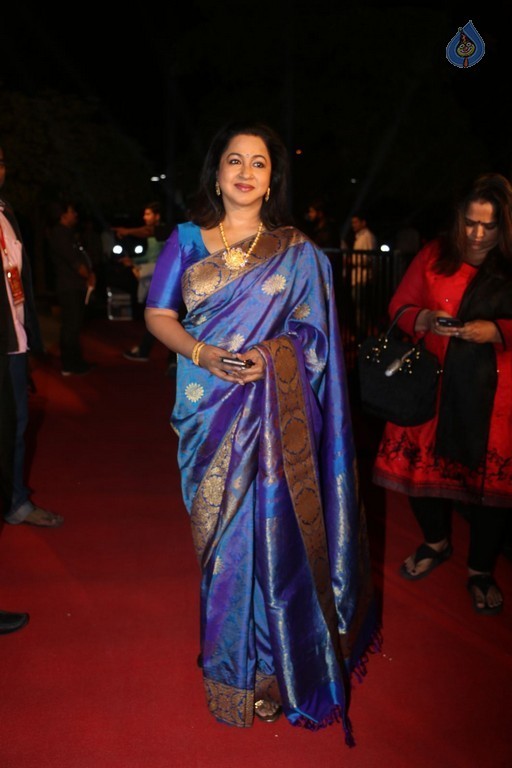 Gemini TV Puraskaralu 2016 Red Carpet 1 - 2 / 84 photos