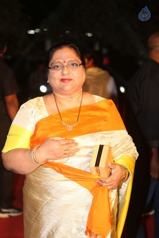 Gemini TV Puraskaralu 2016 Red Carpet 1 - 3 / 84 photos