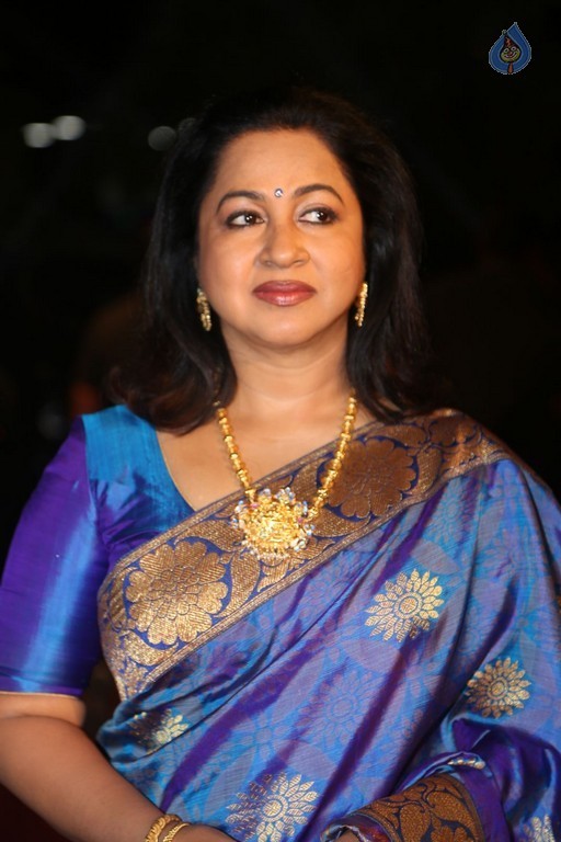 Gemini TV Puraskaralu 2016 Red Carpet 1 - 4 / 84 photos