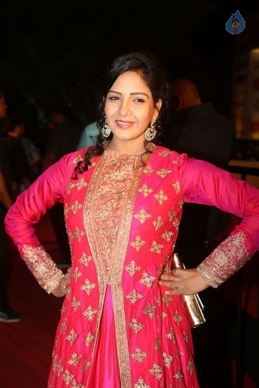 Gemini TV Puraskaralu 2016 Red Carpet 1 - 6 / 84 photos