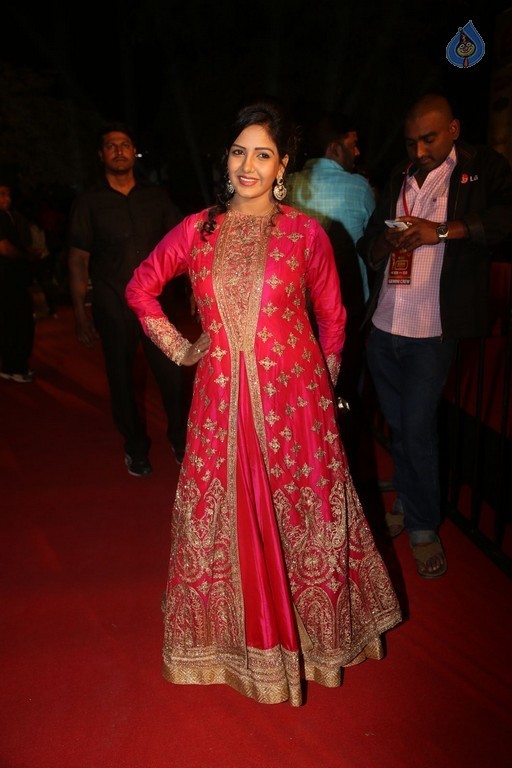 Gemini TV Puraskaralu 2016 Red Carpet 1 - 7 / 84 photos