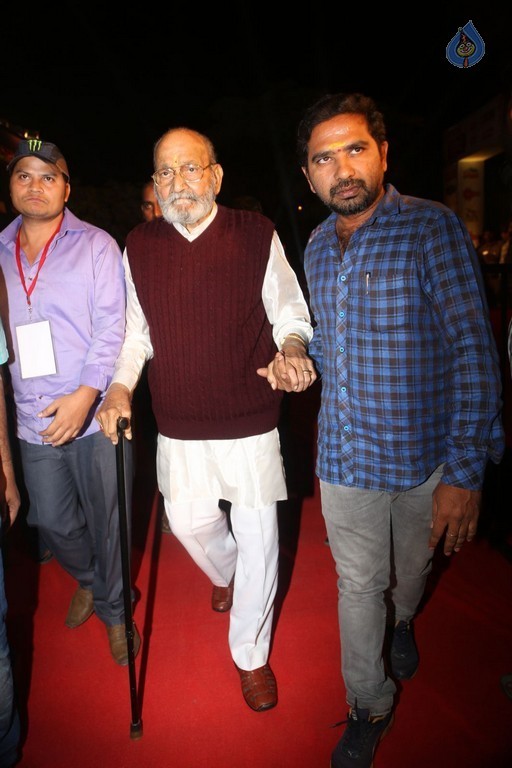 Gemini TV Puraskaralu 2016 Red Carpet 1 - 11 / 84 photos