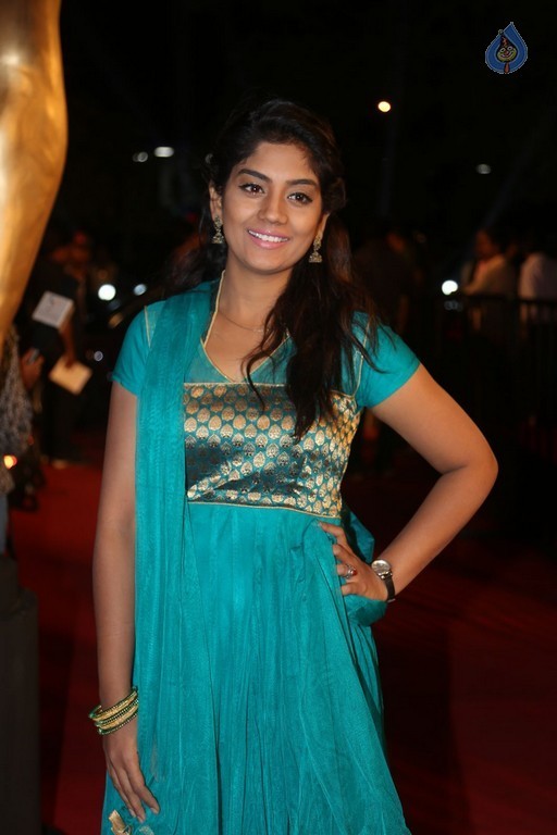 Gemini TV Puraskaralu 2016 Red Carpet 1 - 13 / 84 photos