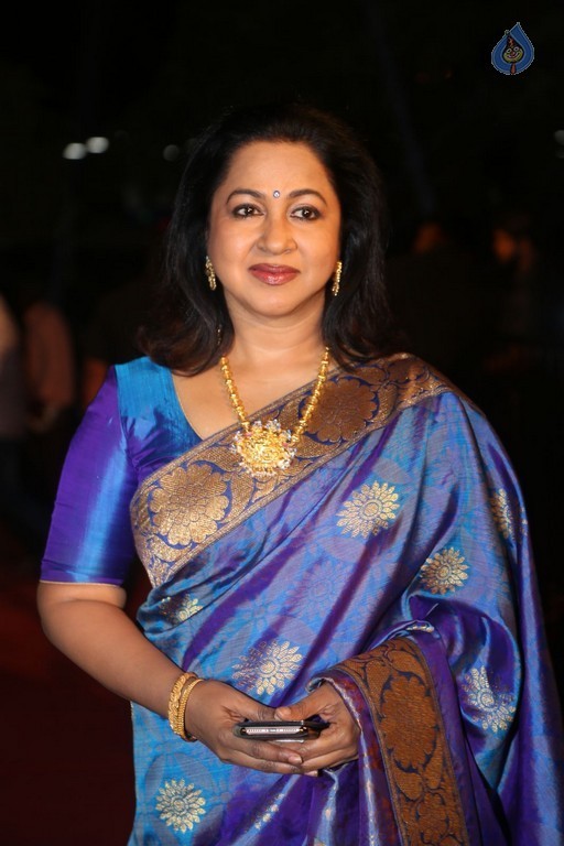 Gemini TV Puraskaralu 2016 Red Carpet 1 - 14 / 84 photos