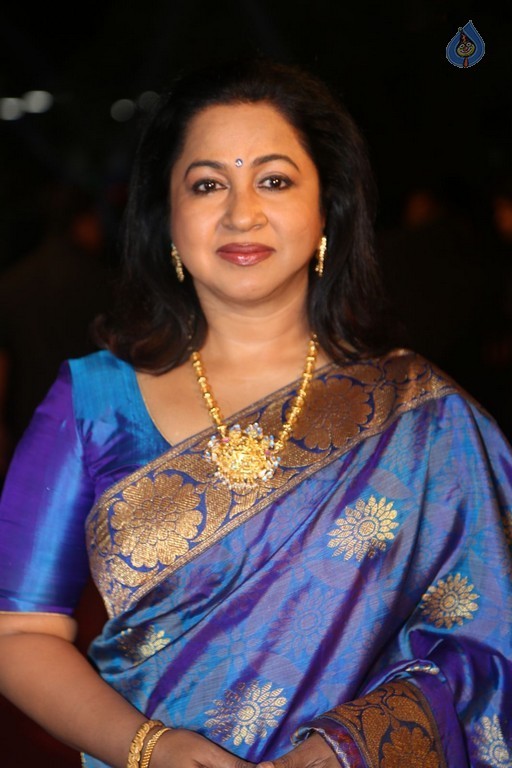 Gemini TV Puraskaralu 2016 Red Carpet 1 - 16 / 84 photos