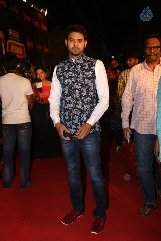 Gemini TV Puraskaralu 2016 Red Carpet 1 - 19 / 84 photos