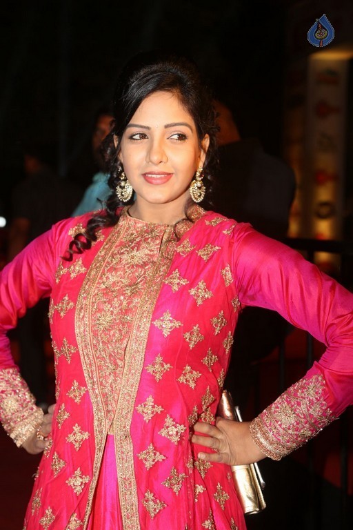 Gemini TV Puraskaralu 2016 Red Carpet 1 - 21 / 84 photos