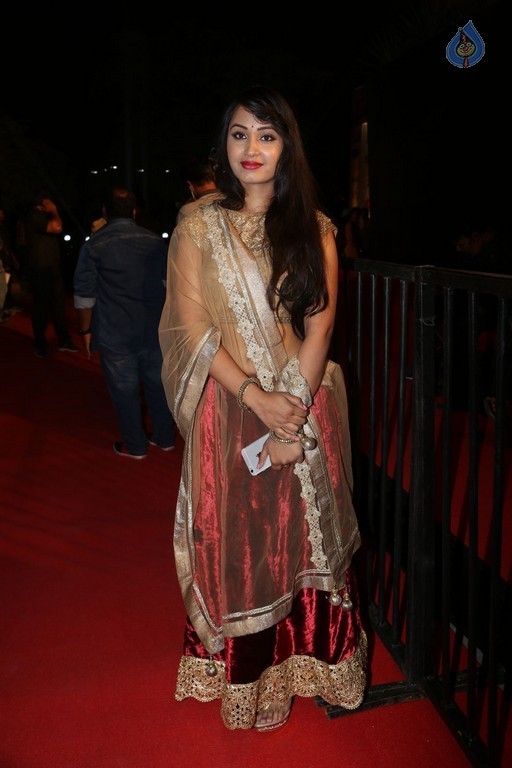 Gemini TV Puraskaralu 2016 Red Carpet 1 - 22 / 84 photos