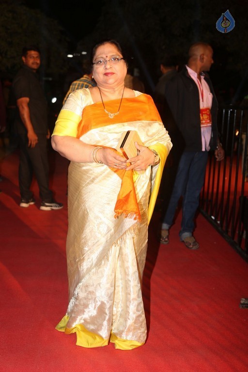 Gemini TV Puraskaralu 2016 Red Carpet 1 - 24 / 84 photos