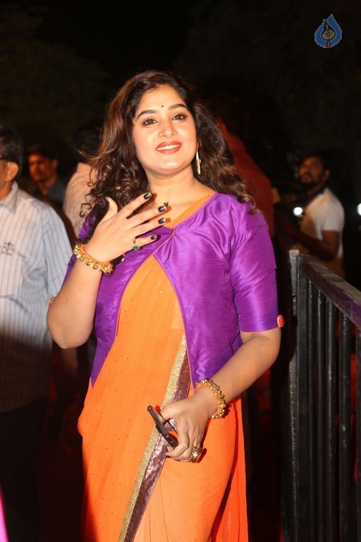 Gemini TV Puraskaralu 2016 Red Carpet 1 - 27 / 84 photos