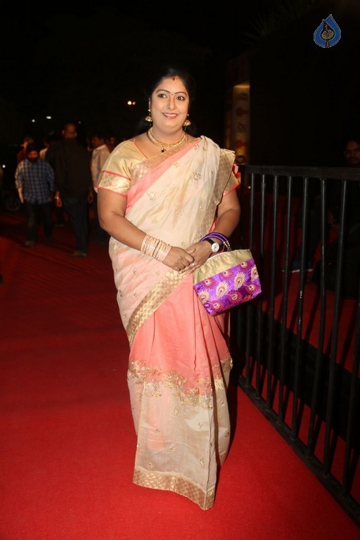 Gemini TV Puraskaralu 2016 Red Carpet 1 - 28 / 84 photos