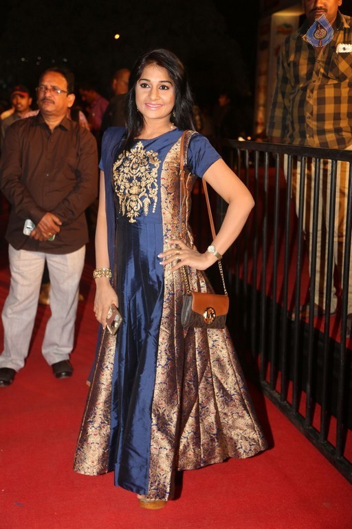 Gemini TV Puraskaralu 2016 Red Carpet 1 - 29 / 84 photos