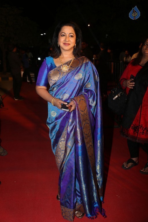 Gemini TV Puraskaralu 2016 Red Carpet 1 - 31 / 84 photos