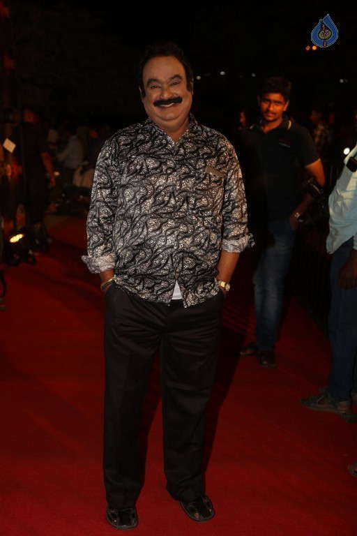 Gemini TV Puraskaralu 2016 Red Carpet 1 - 32 / 84 photos