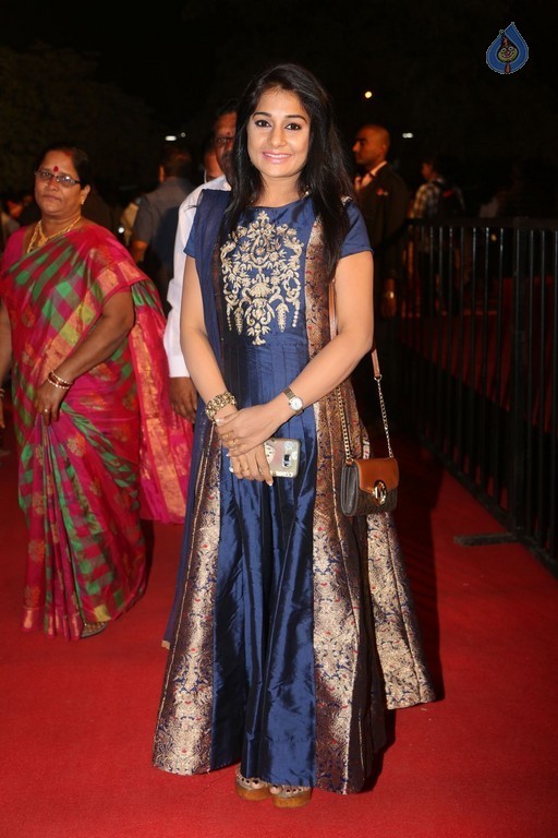 Gemini TV Puraskaralu 2016 Red Carpet 1 - 36 / 84 photos