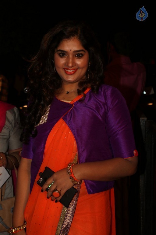 Gemini TV Puraskaralu 2016 Red Carpet 1 - 37 / 84 photos