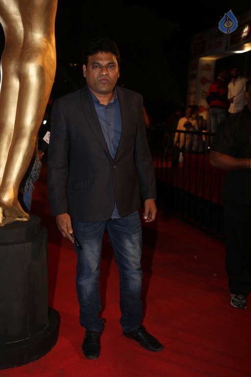 Gemini TV Puraskaralu 2016 Red Carpet 1 - 38 / 84 photos