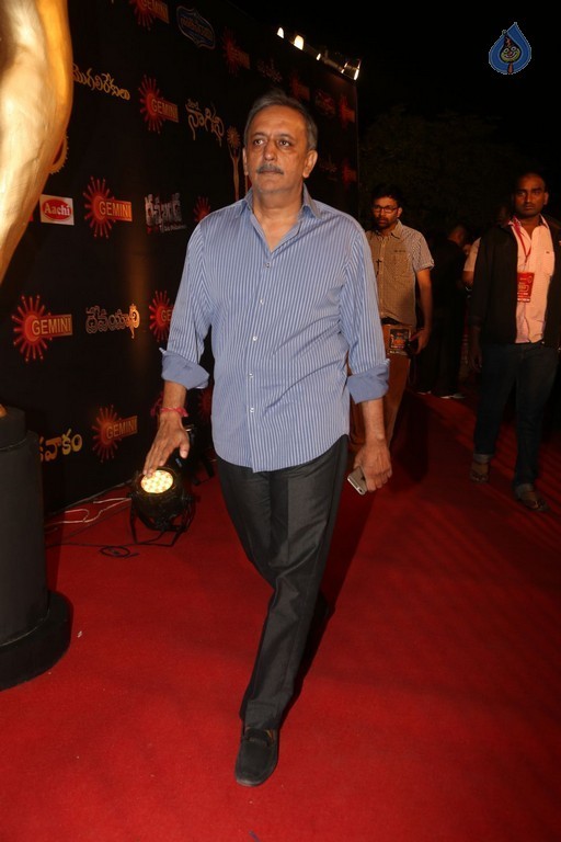 Gemini TV Puraskaralu 2016 Red Carpet 1 - 40 / 84 photos