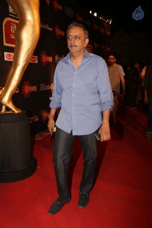 Gemini TV Puraskaralu 2016 Red Carpet 1 - 44 / 84 photos