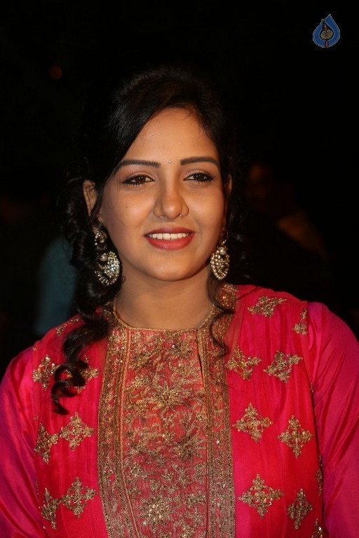 Gemini TV Puraskaralu 2016 Red Carpet 1 - 52 / 84 photos