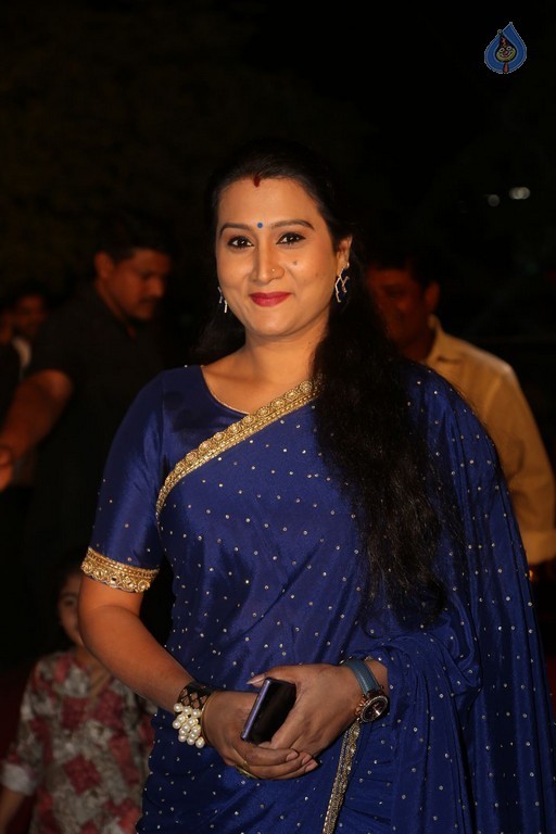 Gemini TV Puraskaralu 2016 Red Carpet 1 - 59 / 84 photos