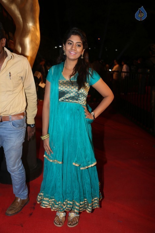 Gemini TV Puraskaralu 2016 Red Carpet 1 - 65 / 84 photos