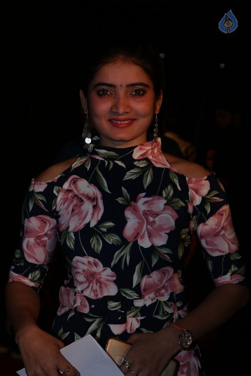 Gemini TV Puraskaralu 2016 Red Carpet 1 - 67 / 84 photos