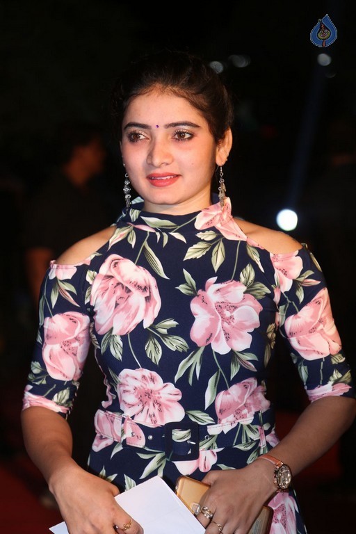 Gemini TV Puraskaralu 2016 Red Carpet 1 - 72 / 84 photos