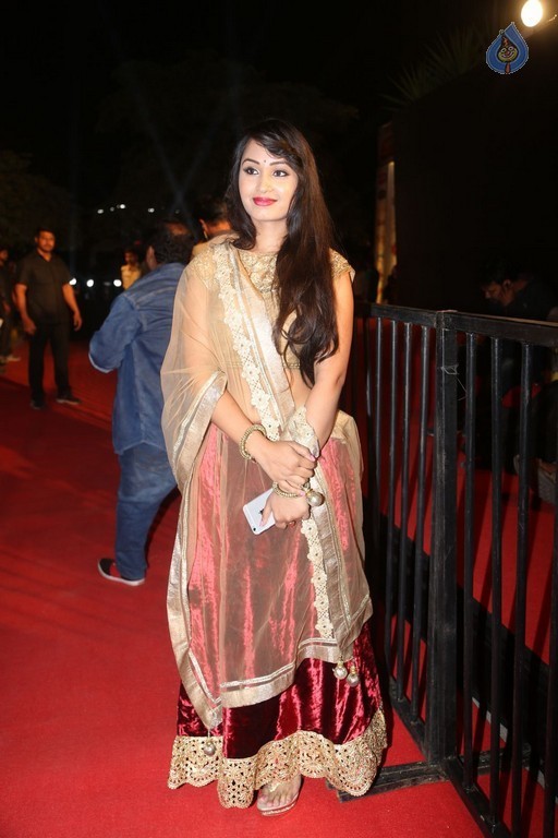 Gemini TV Puraskaralu 2016 Red Carpet 1 - 74 / 84 photos