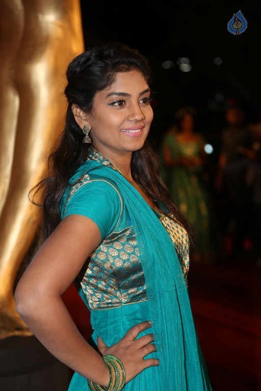 Gemini TV Puraskaralu 2016 Red Carpet 1 - 77 / 84 photos