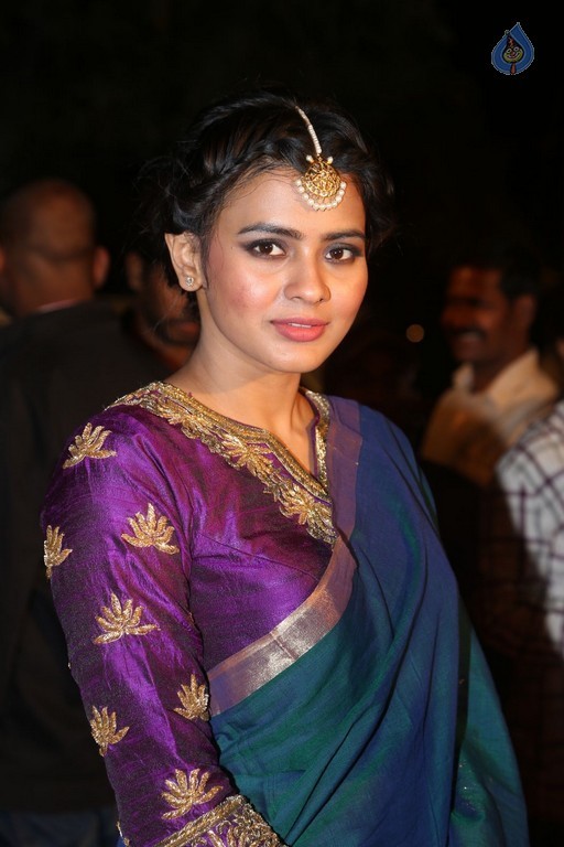 Gemini TV Puraskaralu 2016 Red Carpet 2 - 32 / 62 photos