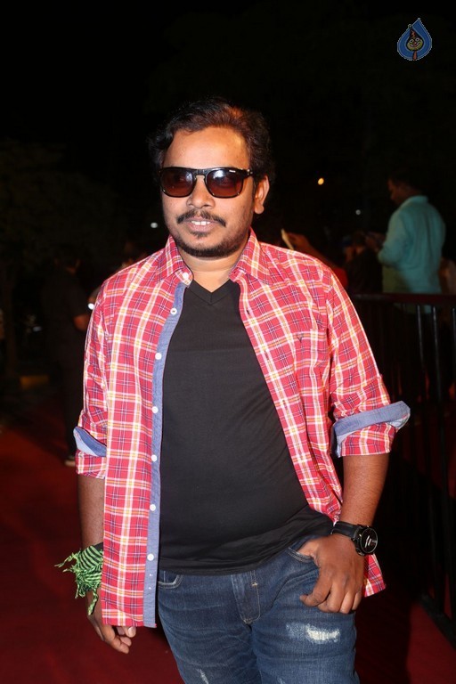 Gemini TV Puraskaralu 2016 Red Carpet 2 - 50 / 62 photos