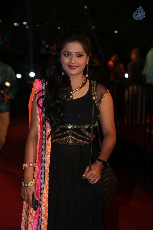 Gemini TV Puraskaralu 2016 Red Carpet 2 - 58 / 62 photos