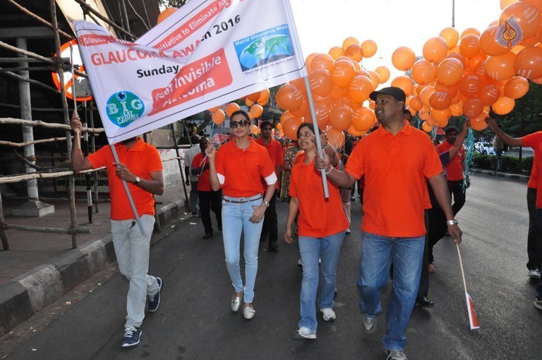 Glaucoma Awareness Walk 2016 - 10 / 41 photos