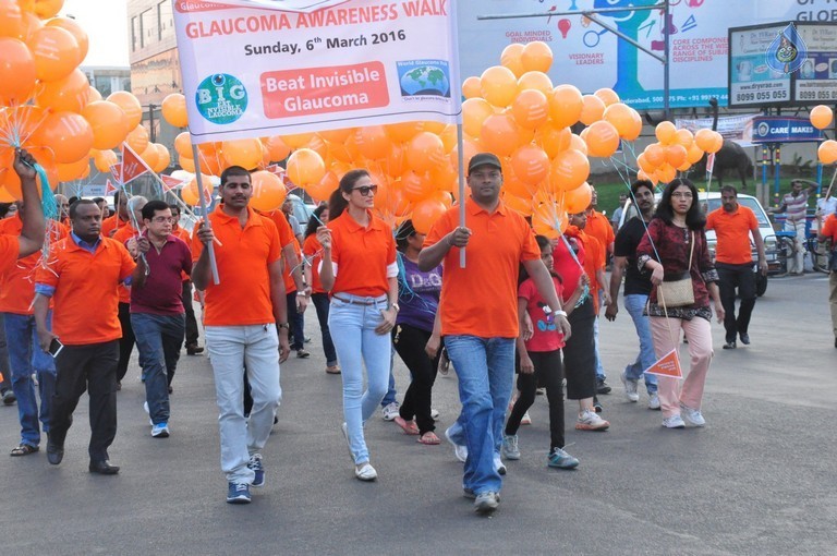 Glaucoma Awareness Walk 2016 - 32 / 41 photos
