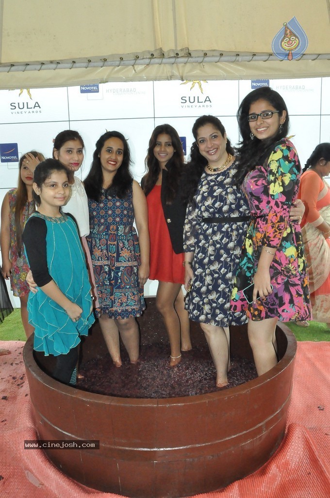 Grape Stomping Brunch Celebrations - 4 / 52 photos